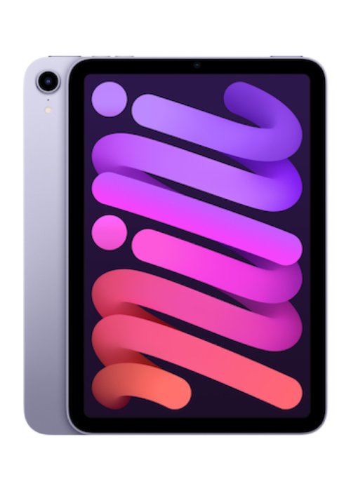 iPad mini Wi-Fi + Cellular